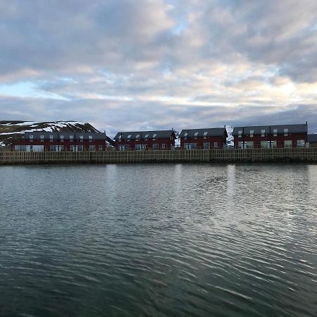 Nappstraumen Seafront Cabin ليكنيز المظهر الخارجي الصورة
